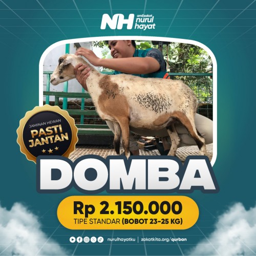 Domba Standar (23 - 25 Kg)