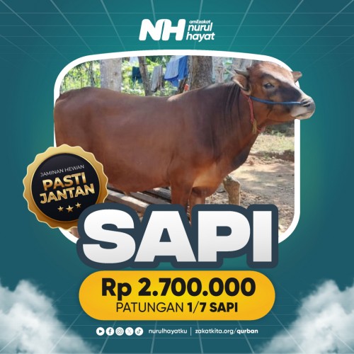 Sapi Patungan 1/7 (250 - 300 Kg)