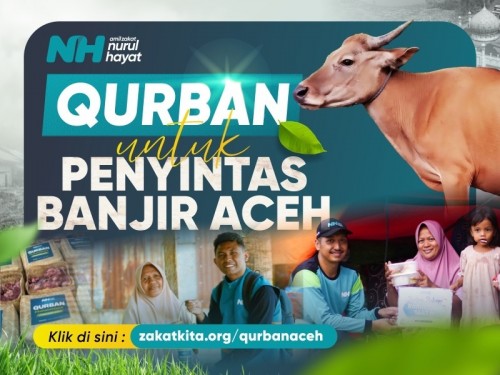 Sapi 1 Ekor ( +-250 Kg ) Salur Aceh