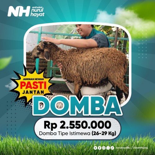 Domba Istimewa (26 - 29 Kg)