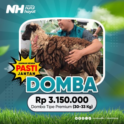Domba Premium (30 - 33 Kg)
